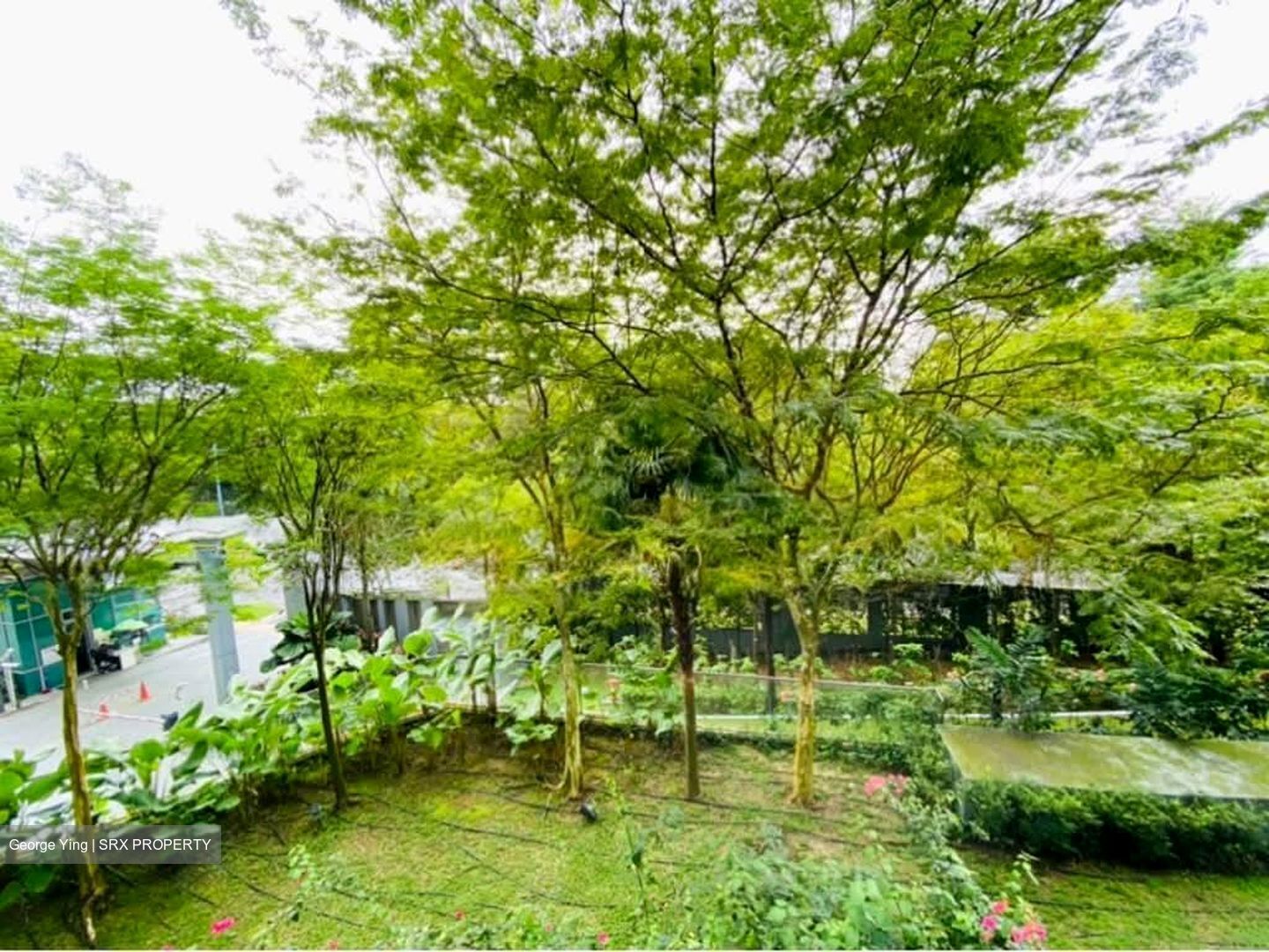 Hundred Trees (D5), Condominium #566260651